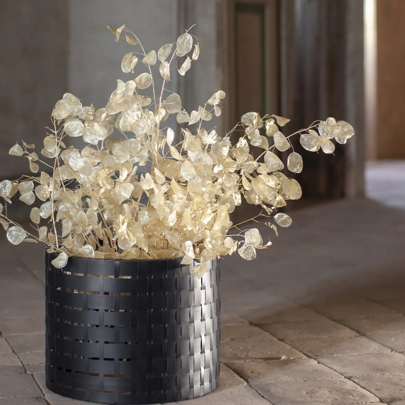 Splot Design Vitis Nero Abatellis Cachepot