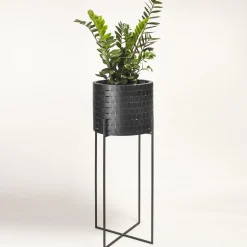 Splot Design Vitis Nexum Alto Nero Abatellis Cachepot