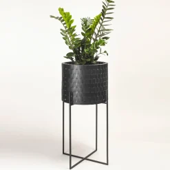 Splot Design Vitis Nexum Cachepot medio nero Abatellis