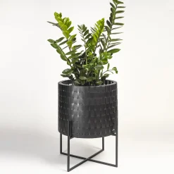 Splot Design Vitis Nexum Piccolo Cachepot nero Abatellis